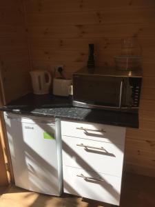 - une cuisine avec un comptoir et un four micro-ondes dans l'établissement Romantic Getaway Luxury Wooden Cabin With Private Hot Tub and BBQ, à Aberystwyth