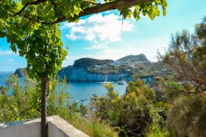 a view of the bay ofassis from a hill at Maridea - Scuncillo in Ponza