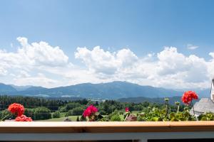 A general mountain view or a mountain view taken from a vendégházakat