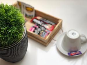 Set per la preparazione di tè e caffè presso Gostisce Sovdat