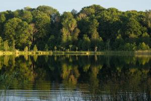 Afbeelding uit fotogalerij van Mucenieki in Brizule