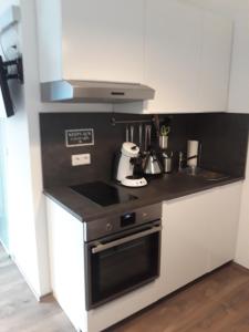 Kuchyň nebo kuchyňský kout v ubytování Aulbach' s Appartments