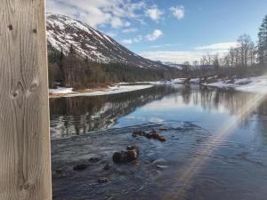 Fotografie z fotogalerie ubytování Bydalens Fjällby v destinaci Hallen