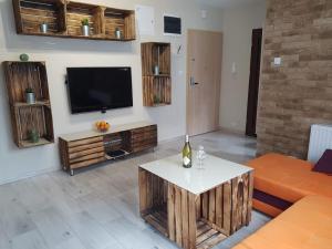 Μια τηλεόραση ή/και κέντρο ψυχαγωγίας στο Apartament Country Centrum
