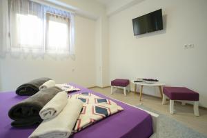 TV a/nebo společenská místnost v ubytování Guest House Stari + 21 fotografií