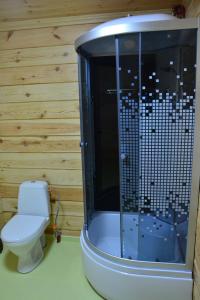 a bathroom with a toilet and a shower at Cooper House in Szack +25 photos