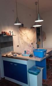 Kuchyň nebo kuchyňský kout v ubytování Apartman Pašman K.B.168