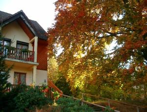 Zahrada ubytování Le Chalet