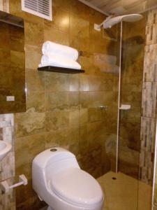 a bathroom with a toilet and a shower at Posadas San Antonio Campestre in Tibasosa