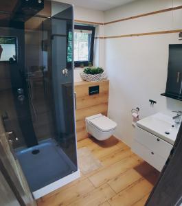 een badkamer met een douche, een toilet en een wastafel bij Park Apartments Miedzyzdroje in Międzyzdroje