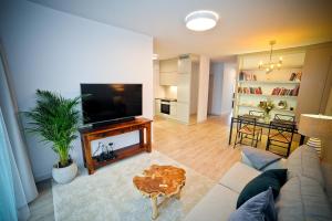ein Wohnzimmer mit einem Sofa und einem Flachbild-TV in der Unterkunft Luna Apartment Deluxe in Danzig