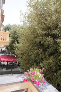 En have udenfor Nel Sole appartamenti