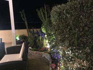 Vonkajšia záhrada v ubytovaní Sunset Terrazza
