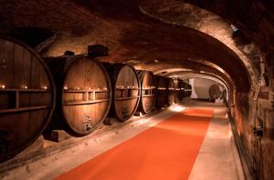 una fila de barriles de vino en un túnel con una alfombra roja en Chateau de Saint Martin, en Taradeau