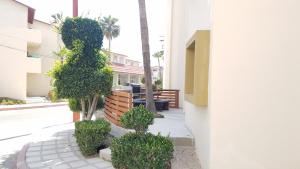 a courtyard in a building with trees and chairs at villa serena 4 Beds, 2 Bath in Rosarito