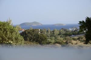 a view of the ocean from a hill with trees at Spanos Apartments in Agios Petros