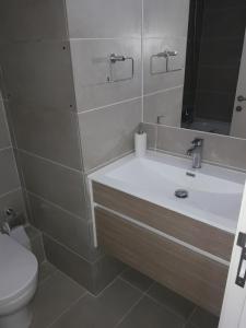 a bathroom with a sink and a toilet and a mirror at Departamento Rio Calle Calle in Valdivia