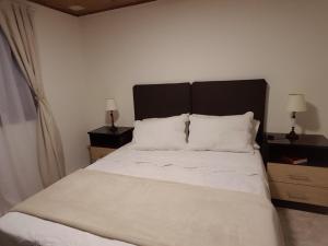 a bedroom with a large bed with white sheets and pillows at Meridiano68 Apartment in Ushuaia