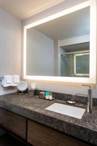 een badkamer met een wastafel en een grote spiegel bij Hyatt Regency Rochester in Rochester