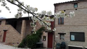 Gallery image of Antica Dimora in Sarnano