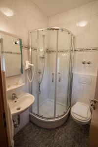 a bathroom with a shower and a toilet and a sink at Hotel & Restaurant Garda in Darmstadt