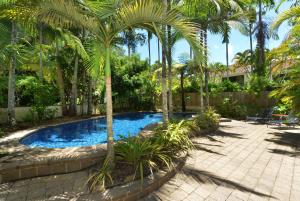 a swimming pool with palm trees in a yard at Sea La Villa Port Douglas in Port Douglas