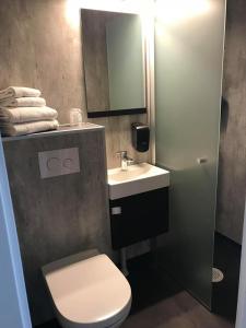 a bathroom with a toilet and a sink and a mirror at Rørosvidda Hotell in Røros