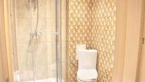 a bathroom with a toilet and a glass shower at Apartamentai Druskininkuose in Druskininkai