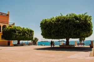 two people walking down a sidewalk between two trees at Casa Vacanze Corso Umberto in Giardini Naxos