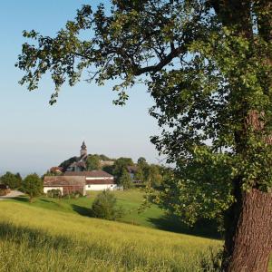 صورة لـ Gasthof Zur Linde في Neuhofen an der Ybbs