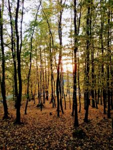 Fotografie z fotogalerie ubytování Chalupa Laziště v Posázaví v destinaci Pertoltice