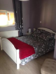 ein Schlafzimmer mit einem Bett mit einer roten Decke und einem Fenster in der Unterkunft cosy logement à la campagne in Marthille