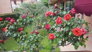 Κήπος έξω από το Hotel Andreis
