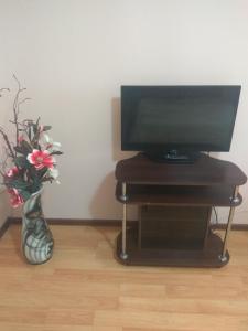 a television and a vase with flowers in a room at Hotel Andreevsky in Vinnytsya
