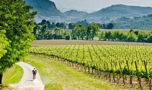 Photo de la galerie de l'établissement WINE & LAKE IN FRANCIACORTA, à Passirano