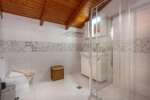 蒂锡利维扎卡迪斯海滩公寓式酒店的浴室配有马桶和玻璃淋浴房 更多113张照片