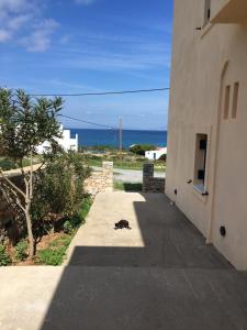 a cat laying on a sidewalk next to a building at Eugenia travasarou sea view appartments in Diakofti