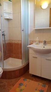 La salle de bains est pourvue d'une douche, d'un lavabo et de toilettes. dans l'établissement Apartments Teo i Ivana, à Bogomolje