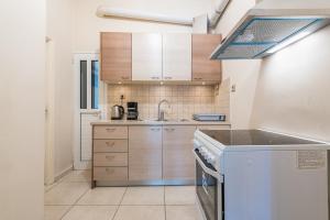 Kuchyň nebo kuchyňský kout v ubytování Victoria Familia Apartments