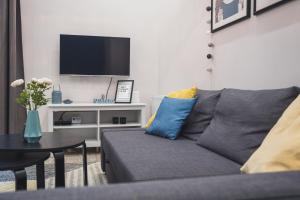 Televízia a/alebo spoločenská miestnosť v ubytovaní CYC Apartment
