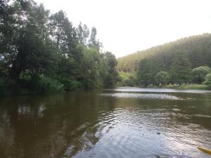 rzeka z drzewami po jej stronie w obiekcie Chalupa Laziště v Posázaví w mieście Pertoltice