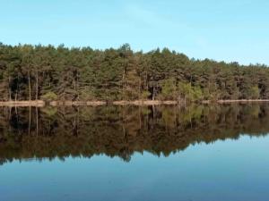 a view of a lake with trees in the background at Love room proche Rennes Le Cocon Enchanteur in Plélan-le-Grand +7 photos