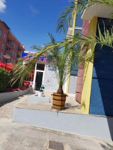 Gallery image of Studios in Complex Elit 4 in Sunny Beach