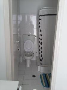a small bathroom with a toilet and a shower at Galanis Place in Antiparos