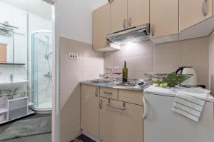 Kuchyň nebo kuchyňský kout v ubytování Apartments Lodra