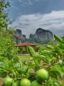 a view of a field with mountains in the background at Hotel Doupiani House in Kalabaka