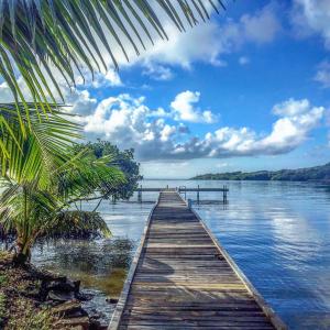 a wooden bridge over a body of water with a palm tree at Mariposaapartments in Arrozal