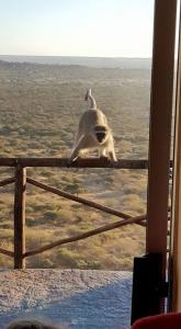 Fotografie z fotogalerie ubytování Lentswe Lodge v destinaci Serowe