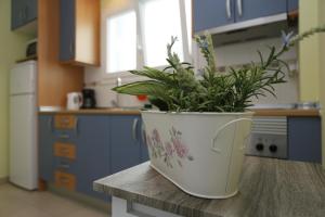 A kitchen or kitchenette at Apartamento Playa Las Canteras