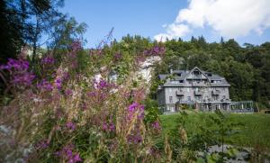 une grande maison au sommet d'une colline avec des fleurs violettes dans l'établissement Hotel Wetterhorn, à Hasliberg